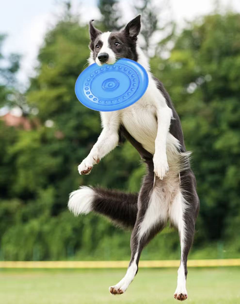 Durable Soft Pet Frisbee – Chew, Toss & Fetch Toy for Dogs & Cats