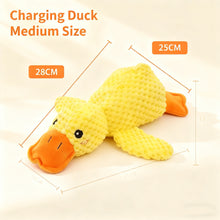Duck Dog Chew Toy – Durable Chew & Fetch Toy for Dogs