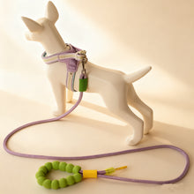 Multi-Functional Dog Leash – Handheld, Waist, or Crossbody | Durable Nylon Lead