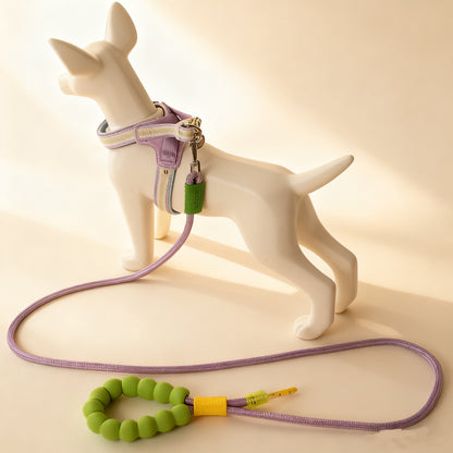 Multi-Functional Dog Leash – Handheld, Waist, or Crossbody | Durable Nylon Lead
