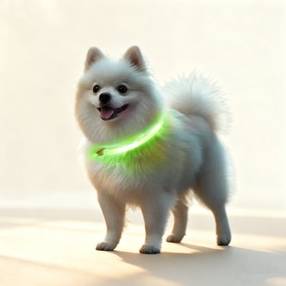 LED Pet Collar – USB Rechargeable Light-Up Collar with 3 Flash Modes for Dogs
