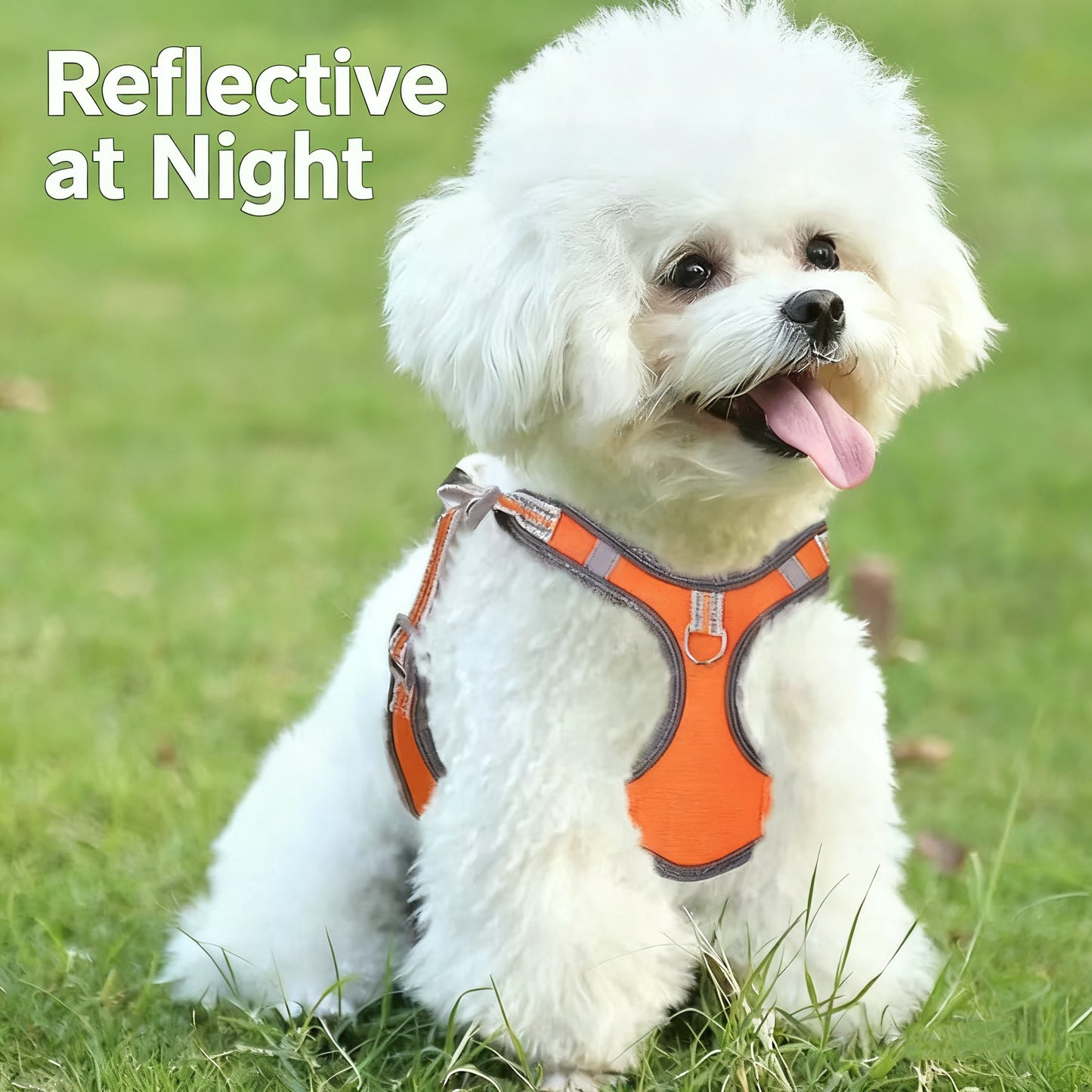 Reflective Lightweight Pet Harness with Leash – Durable Safety Vest for Dogs & Cats