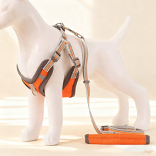 Reflective Lightweight Pet Harness with Leash – Durable Safety Vest for Dogs & Cats