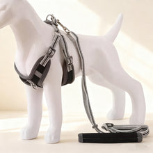 Reflective Lightweight Pet Harness with Leash – Durable Safety Vest for Dogs & Cats