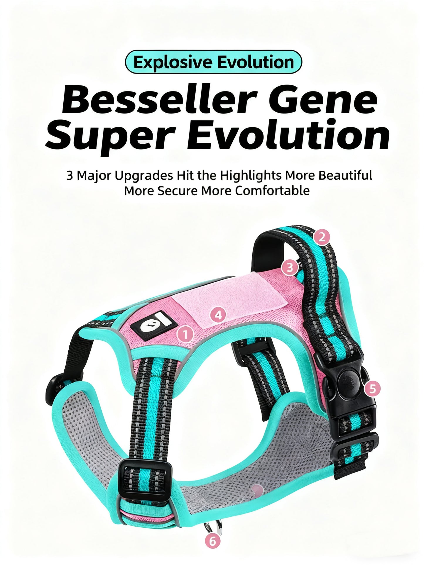 Reflective Pet Harness with GPS Holder – No-Pull Safety Vest with Leash for Dogs & Cats