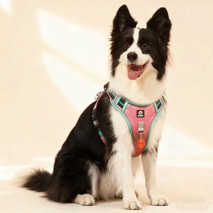 Reflective Pet Harness with GPS Holder – No-Pull Safety Vest with Leash for Dogs & Cats