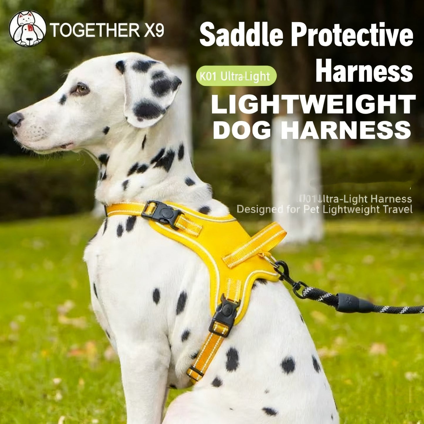 Reflective Lightweight Pet Harness – Durable Safety Vest for Small & Medium Dogs
