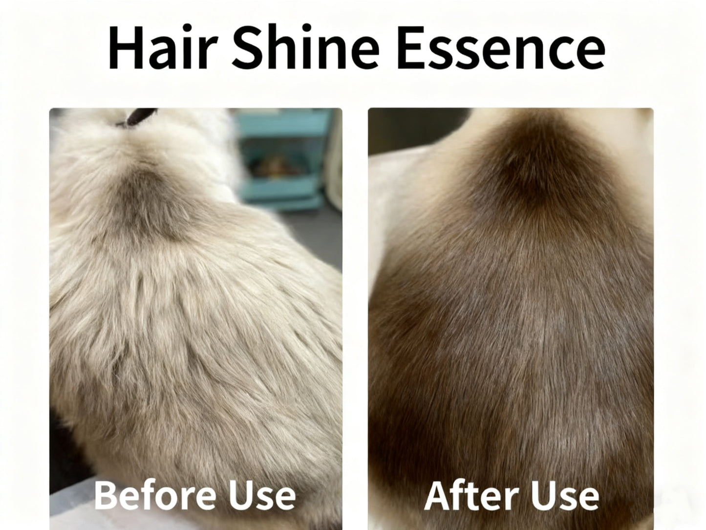 Pet Coat Care Oil Spray – Nourishing & Shine-Enhancing Formula for Dogs & Cats