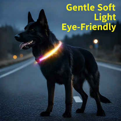 LED Pet Collar – USB Rechargeable Light-Up Collar with 3 Flash Modes for Dogs