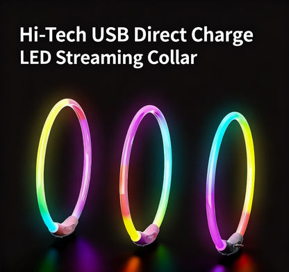 LED Pet Collar – USB Rechargeable Light-Up Collar with 3 Flash Modes for Dogs