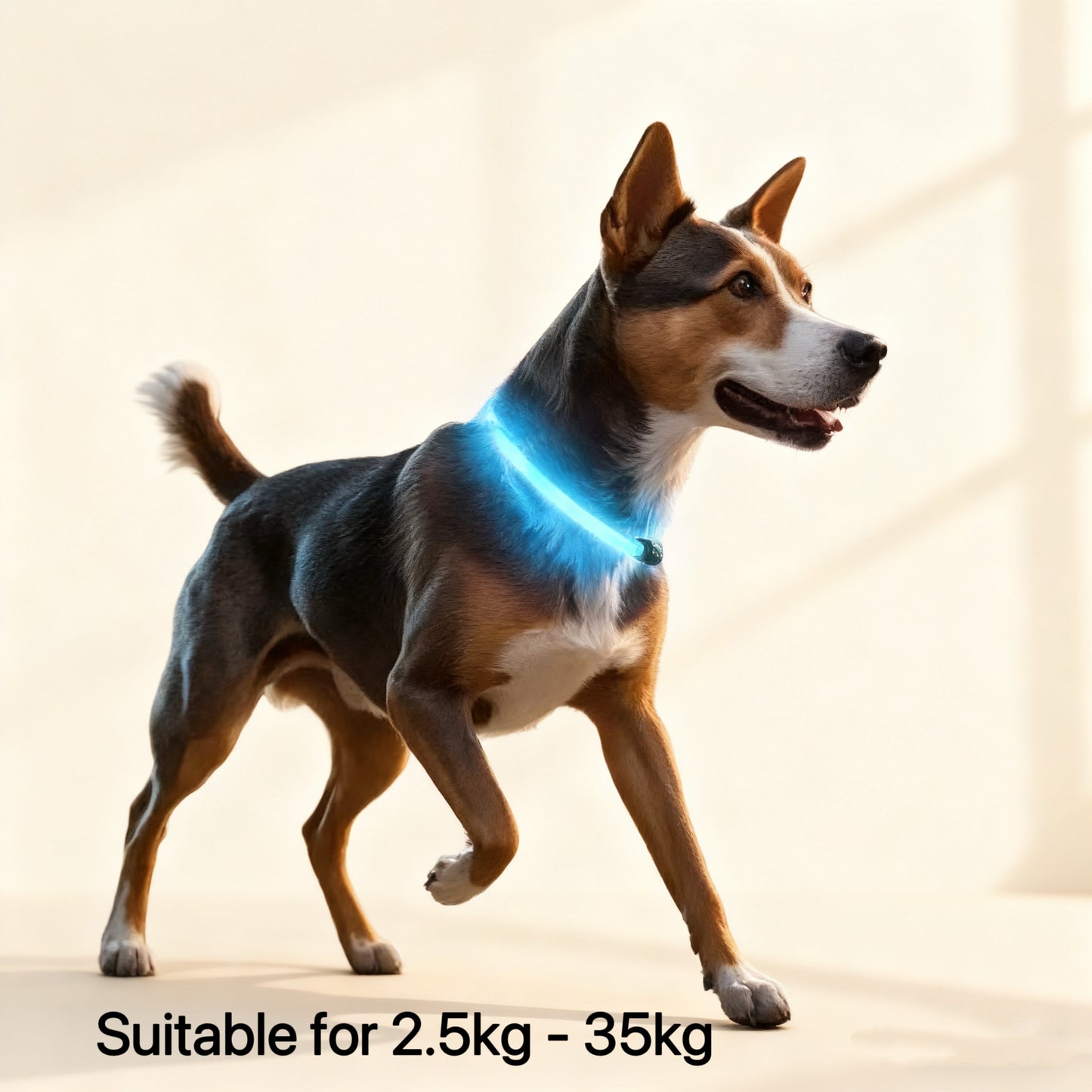 LED Pet Collar – USB Rechargeable Light-Up Collar with 3 Flash Modes for Dogs