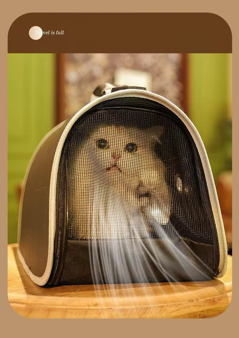 Transparent Handheld Pet Carrier – Breathable Travel Bag for Dogs & Cats