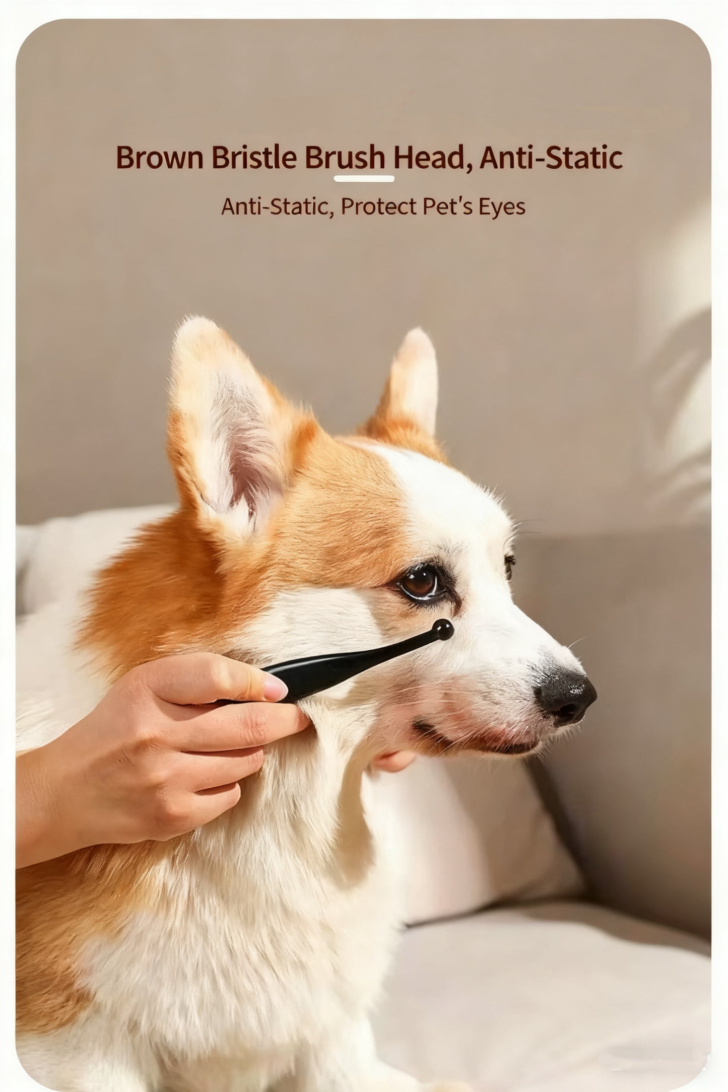 Pet Tear Stain Brush – Gentle Eye Cleaning Tool for Dogs & Cats
