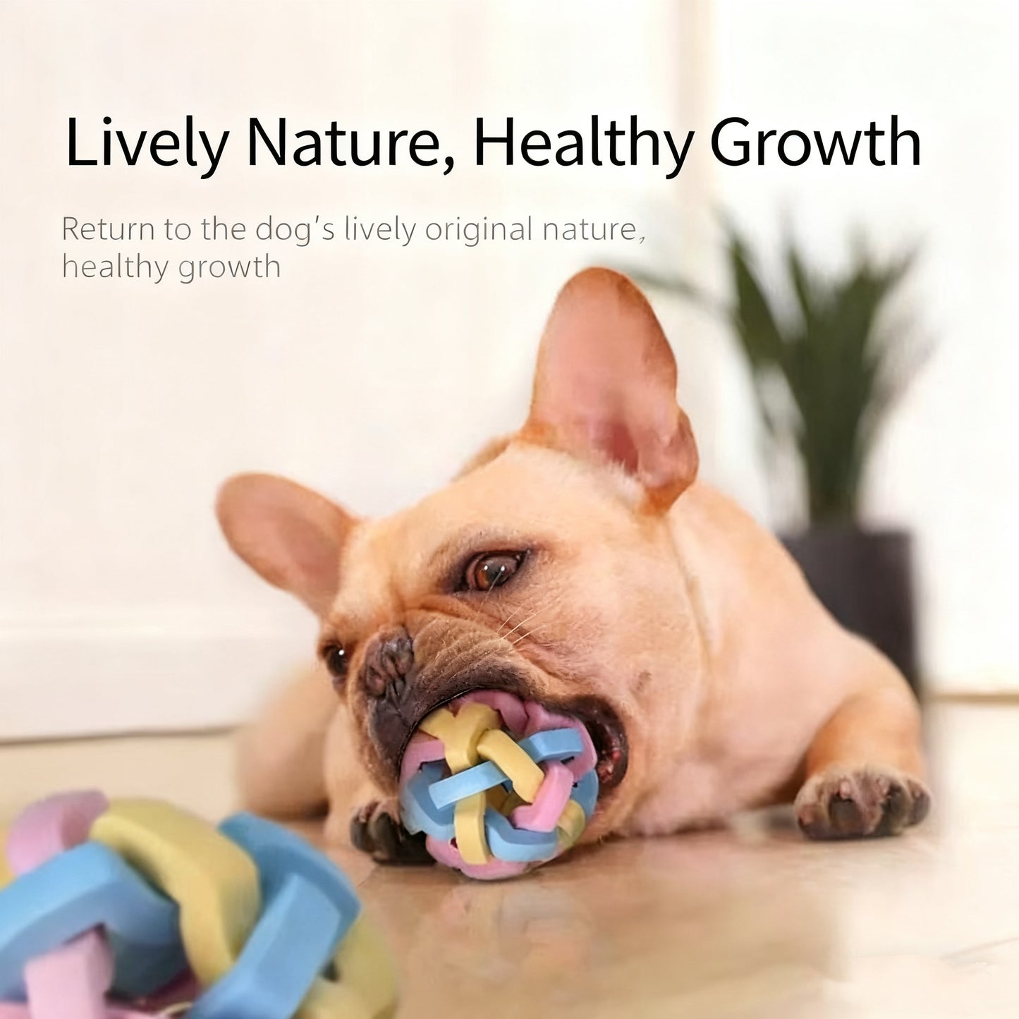 Rubber Rope Ball Toy with Bell – Durable Chew & Play Toy for Dogs & Cats