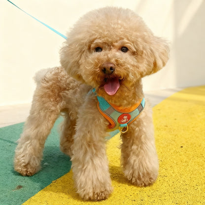 Soft Vest-Style Pet Harness with Free Leash – Adjustable No-Choke Design for Dogs & Cats