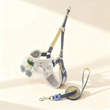 Floral Lace Pet Harness & Leash Set – Cute Adjustable Walking Set for Dogs & Cats