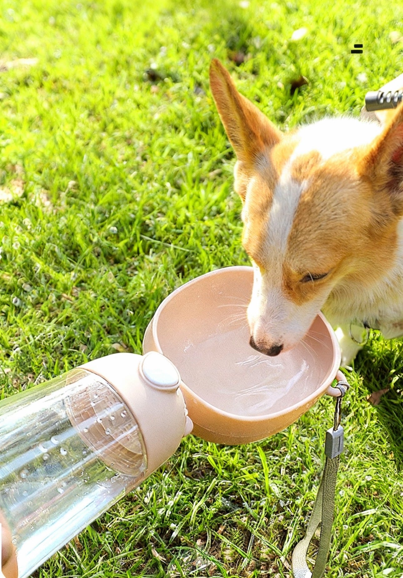 Portable 2-in-1 Pet Water & Food Dispenser – Travel Bottle for Dogs & Cats