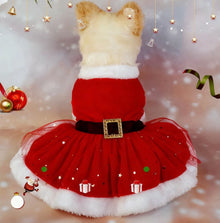 Christmas Pet Dress – Red Tulle Skirt with Bow & Bells for Dogs & Cats