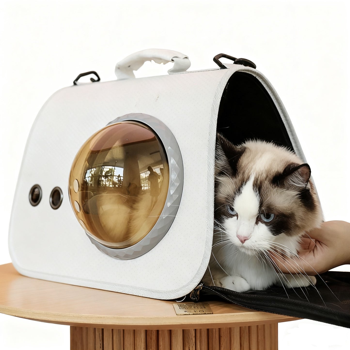 Transparent Handheld Pet Carrier – Breathable Travel Bag for Dogs & Cats