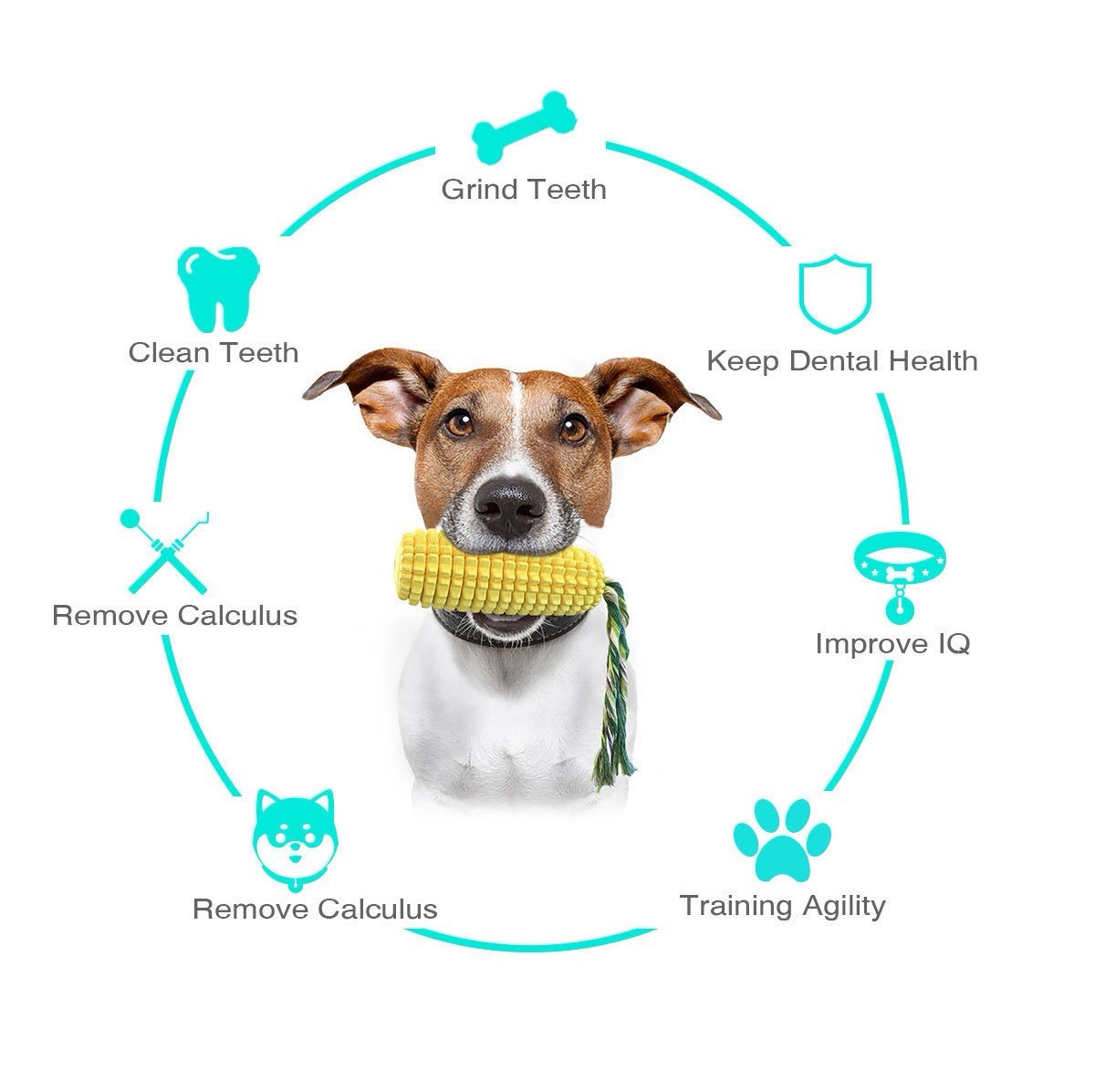 Corn-Shaped Pet Chew Toy with Squeaker – Fun Play for Dogs & Cats