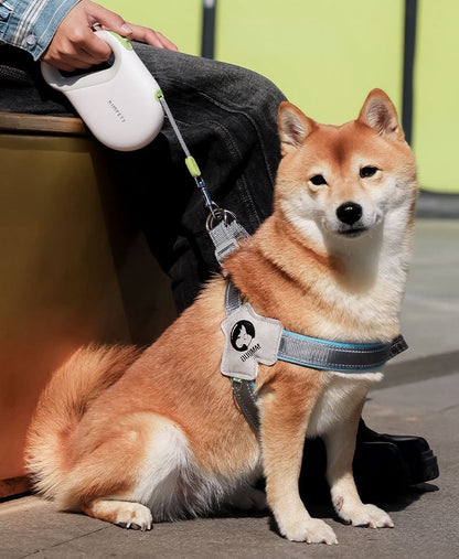 Retractable Pet Leash – Adjustable & Durable Lead for Dogs & Cats