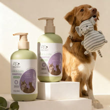 Lavender Pet Shampoo – Gentle, Moisturizing & Tear-Reducing Wash for Dogs & Cats