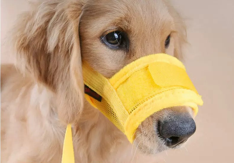 Adjustable Dog Muzzle – Anti-Bite, Anti-Bark & Anti-Eating | Soft & Comfortable