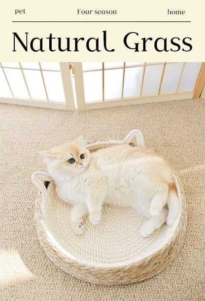Woven Cat Bed with Cotton Rope – Washable All-Season Pet House